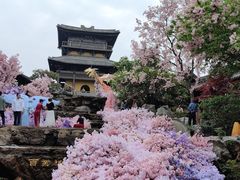 -茅山东方盐湖城景区