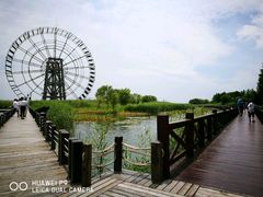 -太湖湖滨国家湿地公园-停车场
