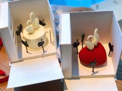 爱心天鹅-BLACKSWAN黑天鹅(环球店)