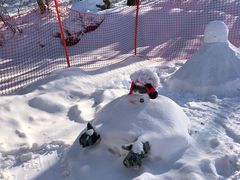 -中旅松花湖滑雪场