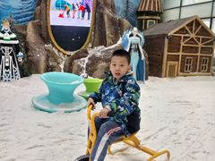 -世界之窗阿尔卑斯冰雪世界