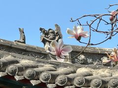 -碑林公园