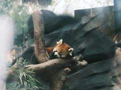 -武汉动物园