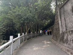 -紫金山山顶公园
