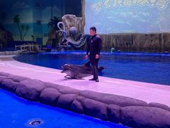 -华夏文旅海洋公园