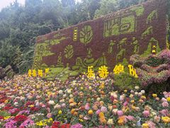 -富乐山