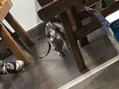 -冰城串吧(隆昌路店)