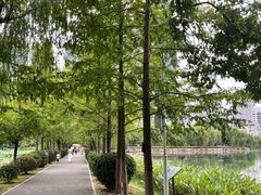 -宝岛公园