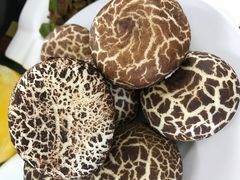 -姚家猪蹄坊(蓝田县店)