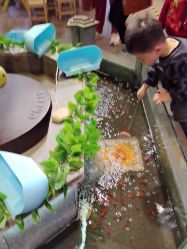 -卡通尼乐园(新达汇三林店)