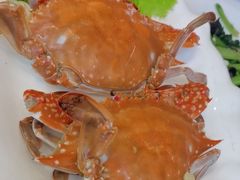 -鑫渔港海鲜本地菜·山海关浑锅(东戴河店)