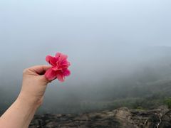-大罗山风景区
