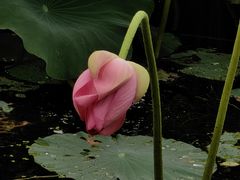 -长春市南湖公园