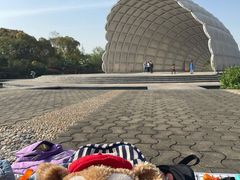 -吴淞炮台湾湿地森林公园烧烤区