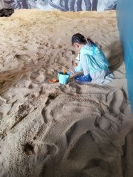 点击看大图 -恐龙探索乐园(磁器口店)