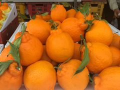 -龙头岩(Dragon Head Rock)