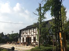 -金山农民画村-枫泾波兰倒置屋