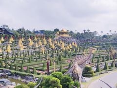 -东芭乐园