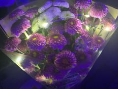 -海底捞火锅(天一广场亚细亚店)