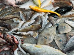 -和源祥·日照菜扛把子(万平口一店)