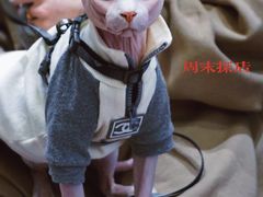 -Radar Coffee(思南路店)