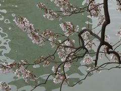 -红星桥(地铁站)