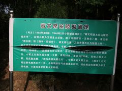 -邙山陵墓群