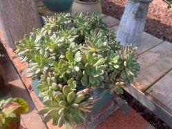 -南海地球村生态亲子乐园