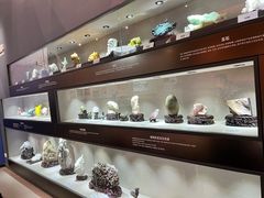 -陕西自然博物馆