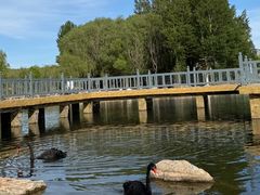 -鄂尔多斯野生动物园