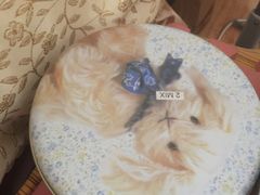 -珍妮曲奇聪明小熊(上环店)