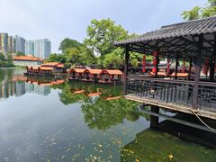 -侨美·唐荔园·40年地道粤菜