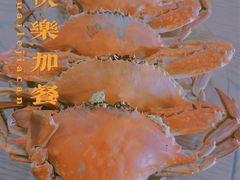 -三林塘老街