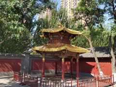 -护国法轮寺
