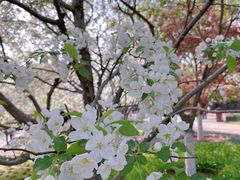 -元大都城垣遗址公园