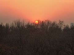 -南京东郊国宾馆