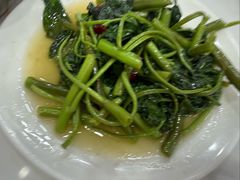-胡世羊肉汤(南街店)