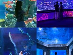 -糖糖屋•糖水•雪花冰店(时尚天河店)