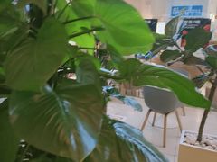 -Blueglass酸奶(财富购物中心店)