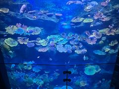 -暹罗海洋世界
