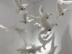 -梵高星空艺术馆(北京旗舰店)