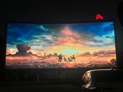 -枫花园汽车电影院(朝阳公园店)