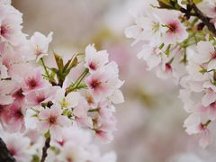 -闵行体育公园(七宝镇)