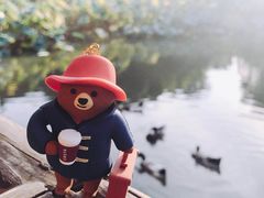 -COSTA COFFEE(上海月星环球港店)