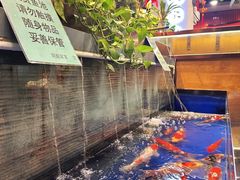 -洞庭家宴·头牌甲鱼(广渠门店)