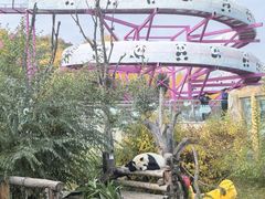 -青藏高原野生动物园
