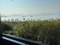 -湖畔居茶楼(湖滨店)