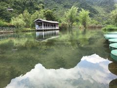 -靖西鹅泉风景区