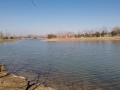 -东郊湿地公园