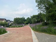 -莫子山公园